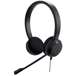 Jabra Evolve 20 MS Stereo Black USB Type-C Headset